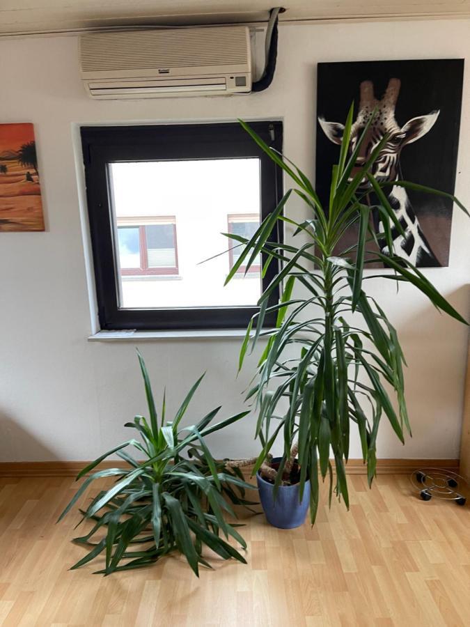 Monteurwohnung - Ferienwohnung Naehe Limburg An Der Lahn Flacht Екстериор снимка